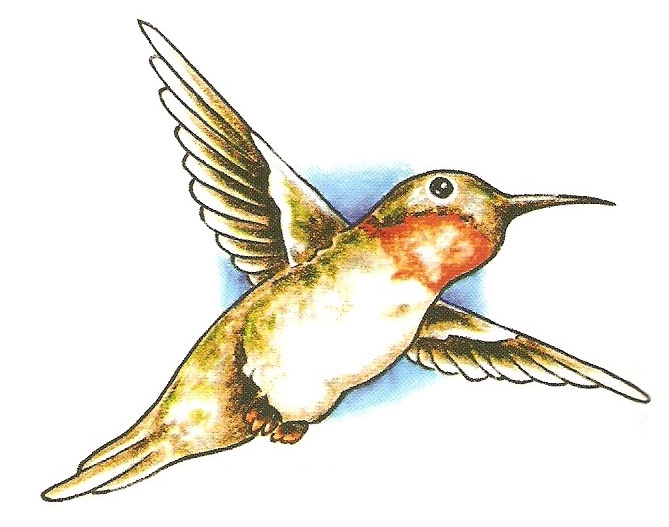 Card image cap